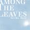 SUN KIL MOON: Among The Leaves - 2 Disc Limited Edition (Caldo Verde Records, 2012)